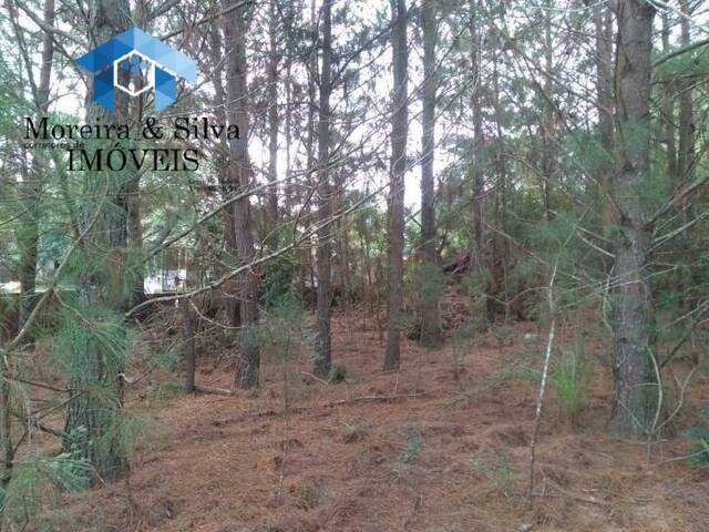 Terreno para Venda em Viamão - 4