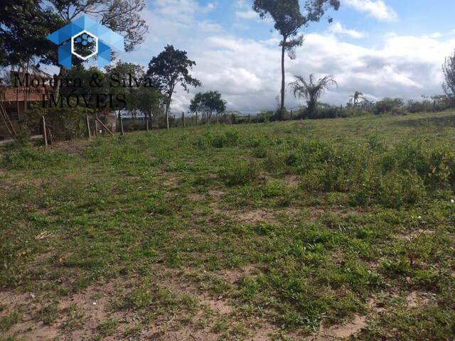 Terreno para Venda em Viamão - 4