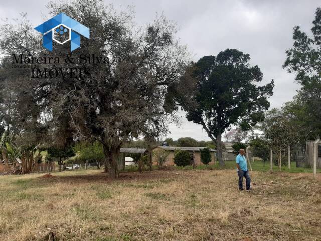 Terreno para Venda em Viamão - 4