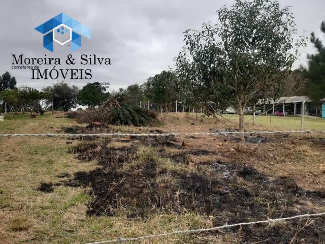 Terreno para Venda em Viamão - 5