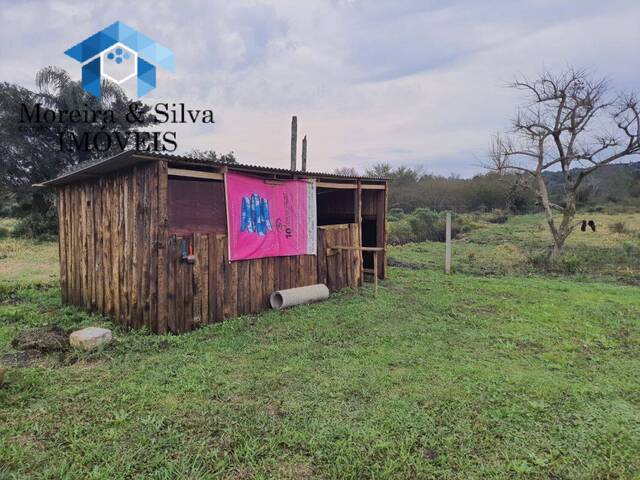 Sítio para Venda em Viamão - 4