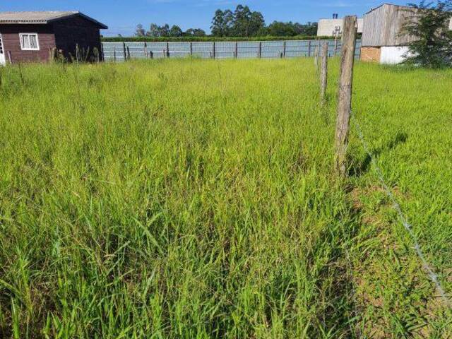 Terreno para Venda em Viamão - 4