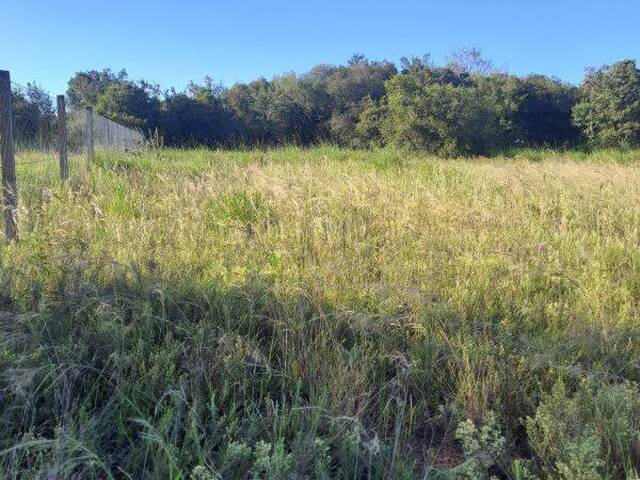 #AGS 781 - Terreno para Venda em Viamão - RS - 1