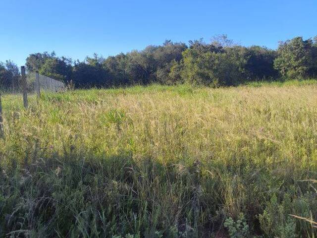 #AGS 781 - Terreno para Venda em Viamão - RS - 2