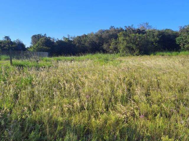 Terreno para Venda em Viamão - 5