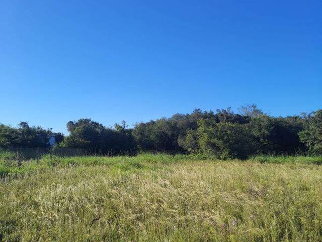 Terreno para Venda em Viamão - 4