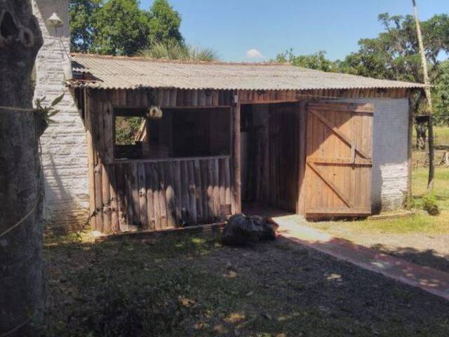 Sítio para Venda em Viamão - 4