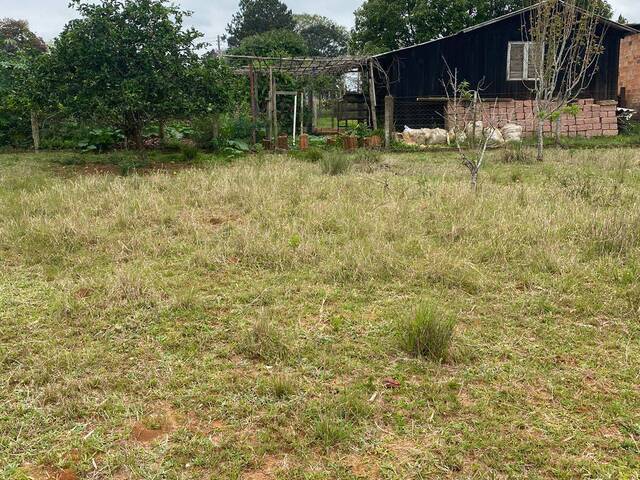 Terreno para Venda em Viamão - 4