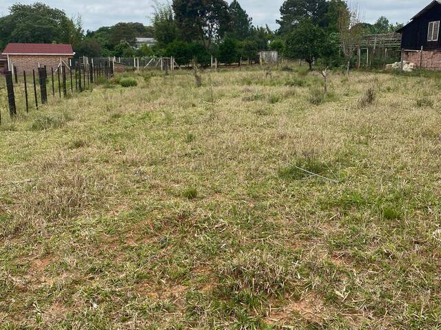 Terreno para Venda em Viamão - 5