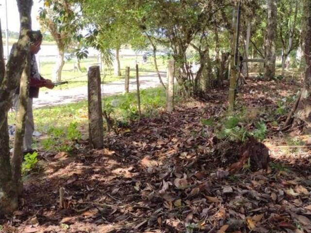 Terreno para Venda em Viamão - 4