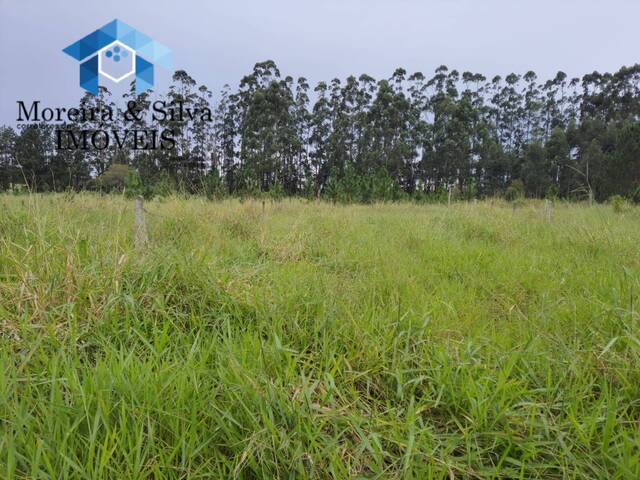 Chácara para Venda em Viamão - 5