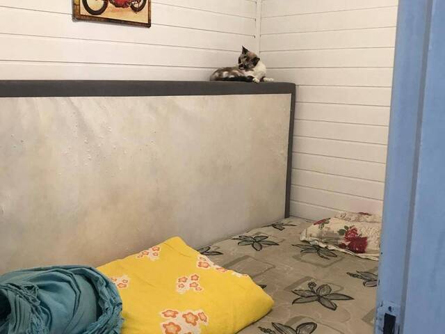 Sítio para Venda em Viamão - 5