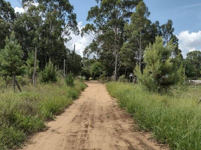 Terreno para Venda em Viamão - 5