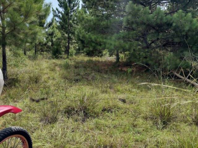 Terreno para Venda em Viamão - 4