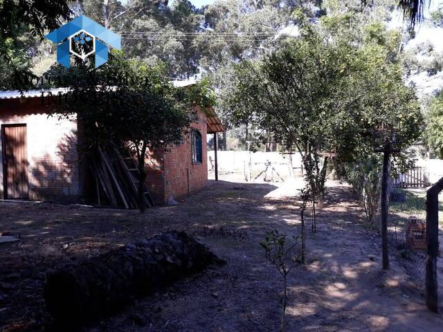 Sítio para Venda em Viamão - 4