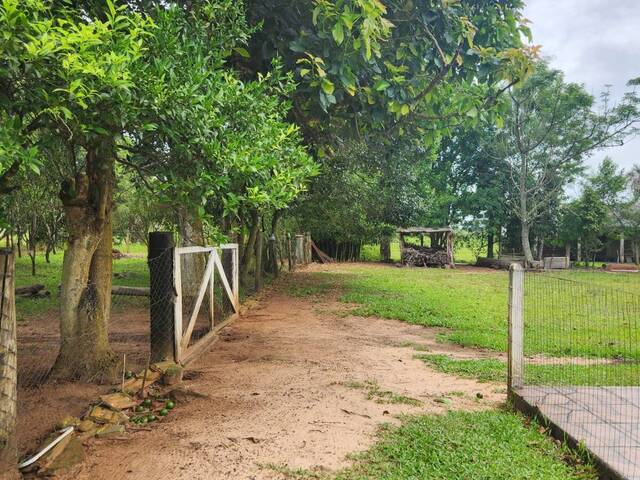 Sítio para Venda em Viamão - 4