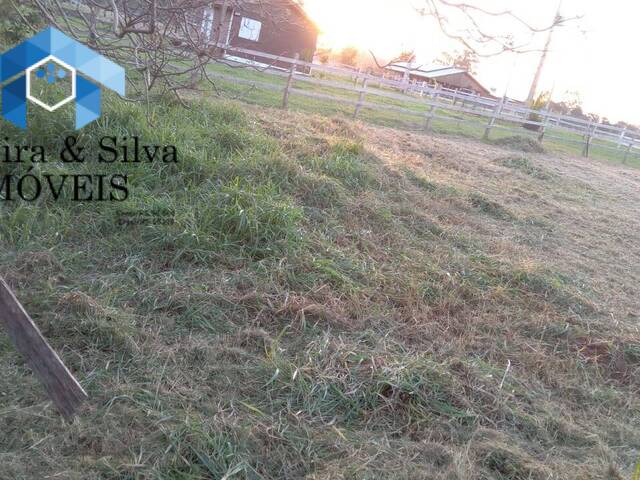 Terreno para Venda em Viamão - 4
