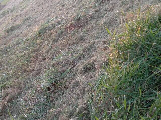 Terreno para Venda em Viamão - 5