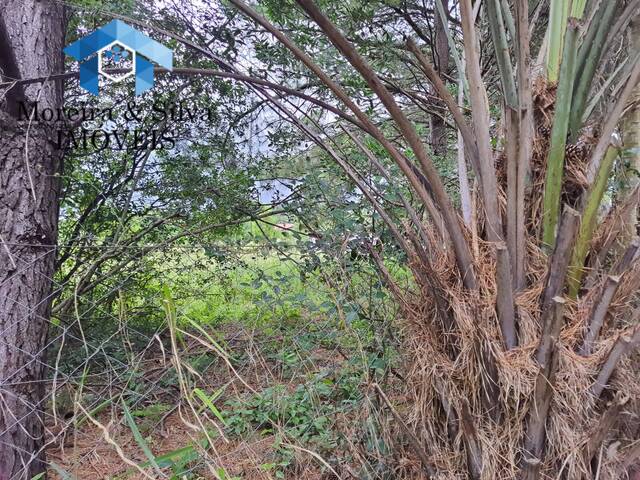 #QRC 1006 - Terreno em condomínio para Venda em Viamão - RS - 2