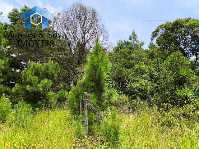 Terreno para Venda em Viamão - 4