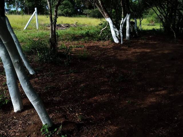 Terreno para Venda em Viamão - 4