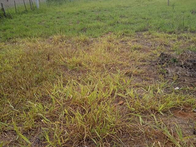 Terreno para Venda em Viamão - 5