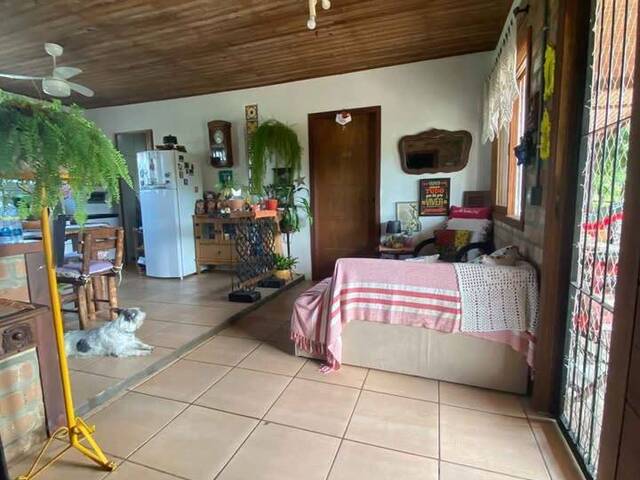 Sítio para Venda em Viamão - 4