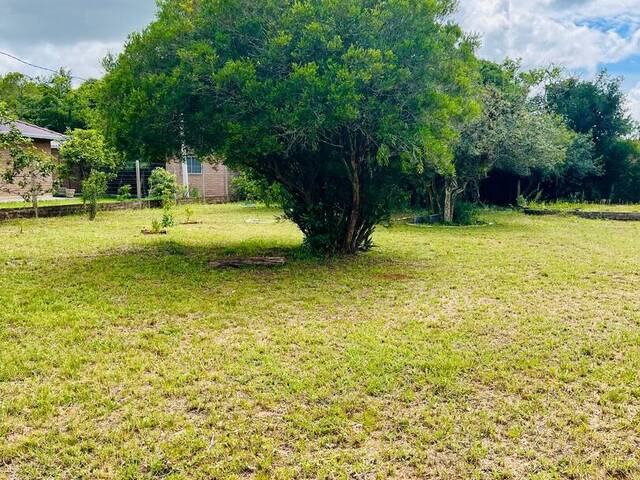 Terreno para Venda em Viamão - 4