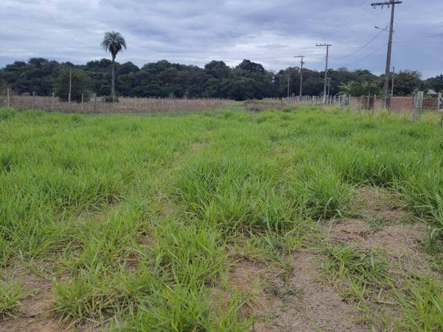 #AGS 1085 - Chácara para Venda em Viamão - RS - 1