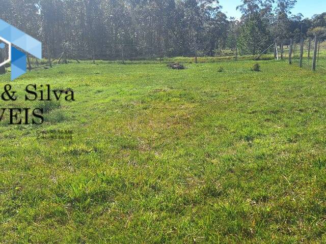 Terreno para Venda em Viamão - 2