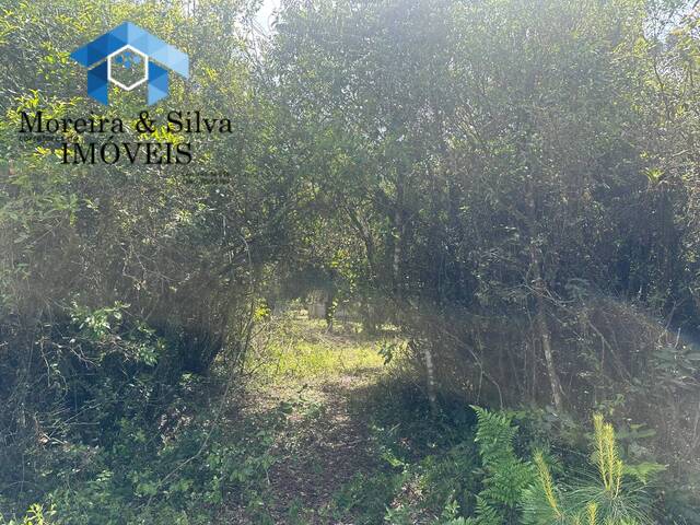 #AGS 1122 - Terreno para Venda em Viamão - RS - 2