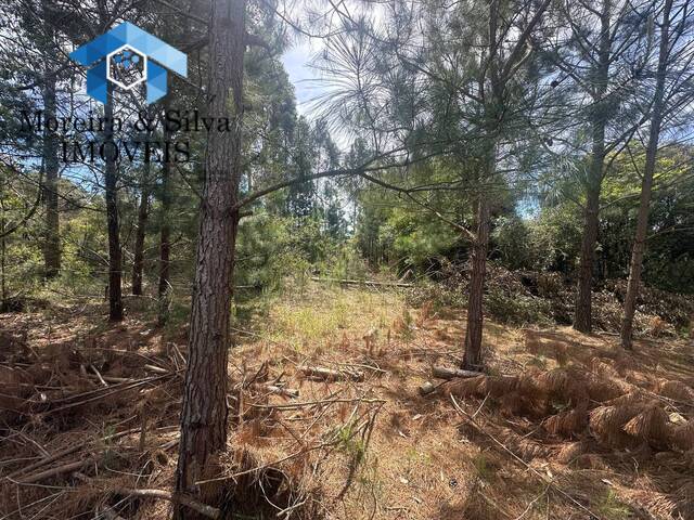 Terreno para Venda em Viamão - 5