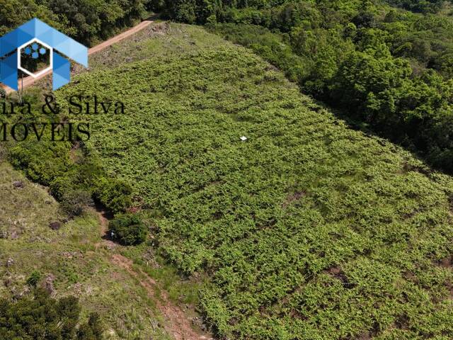 #CAI 1136 - Chácara para Venda em Caxias do Sul - RS - 2