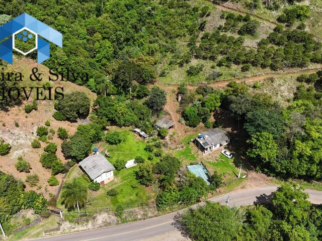 #CAI 1136 - Chácara para Venda em Caxias do Sul - RS - 3