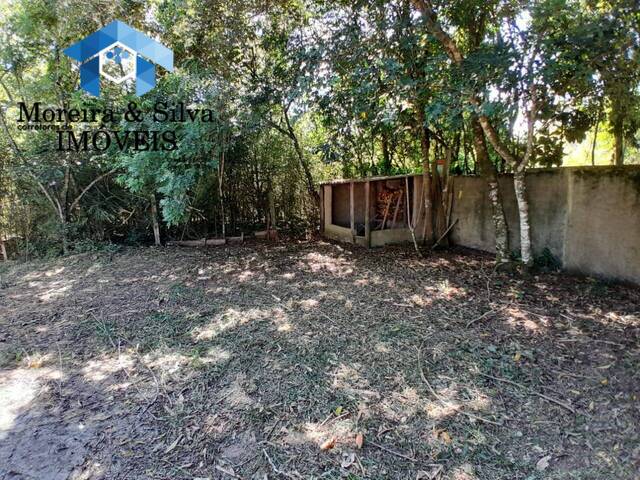 Sítio para Venda em Viamão - 5