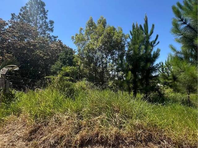 #PML 1164 - Terreno em condomínio para Venda em Viamão - RS - 2