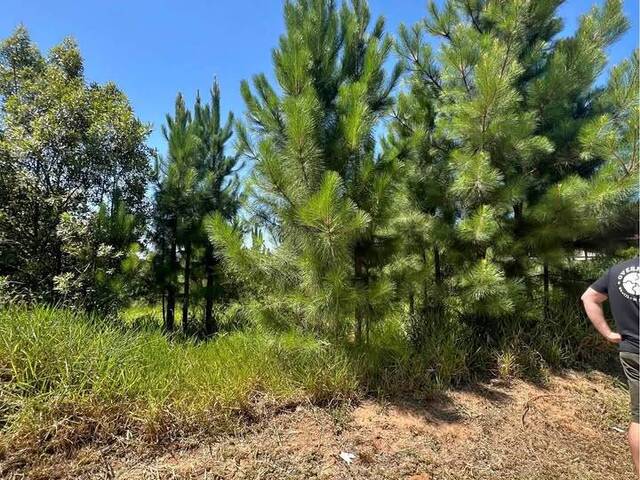 Venda em Aguas Claras - Viamão