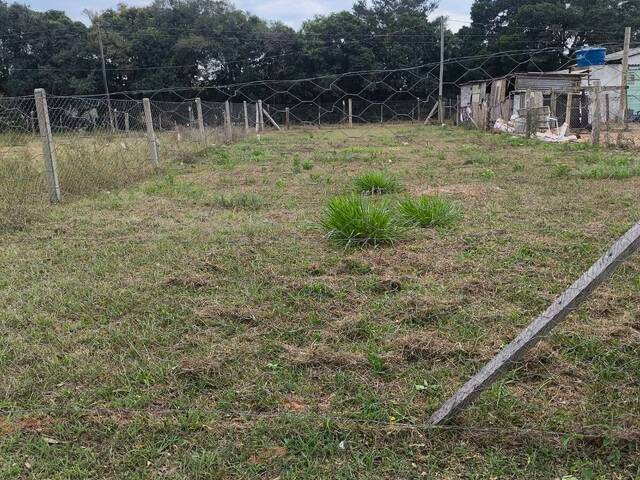 #AGS 1158 - Terreno para Venda em Viamão - RS - 1