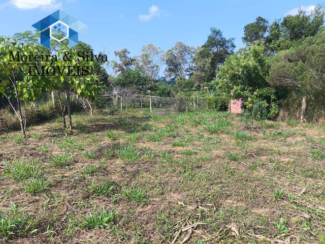 Área para Venda em Viamão - 3