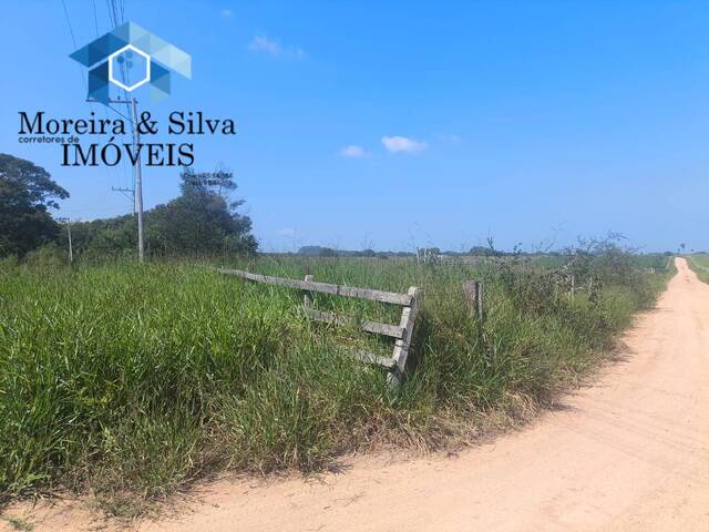 Chácara para Venda em Viamão - 4