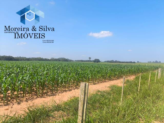 Chácara para Venda em Viamão - 5