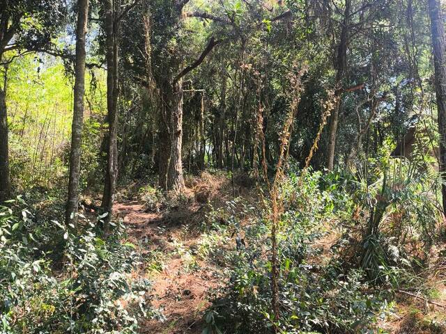 Venda em Condomínio Querência (Águas Claras) - Viamão