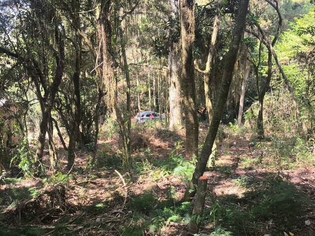 Terreno em condomínio para Venda em Viamão - 2