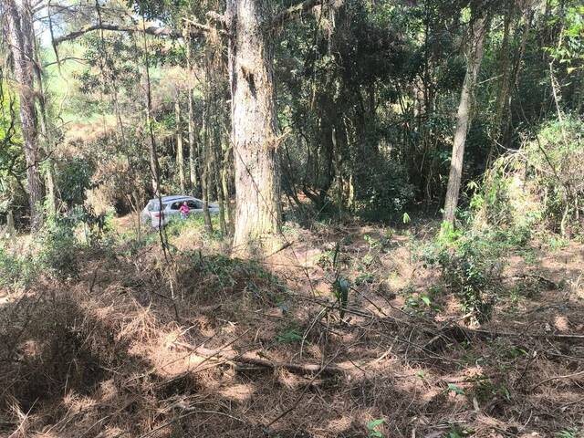 Terreno em condomínio para Venda em Viamão - 3