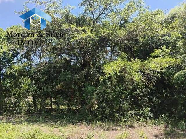 #PMT 1218 - Terreno para Venda em Viamão - RS - 1