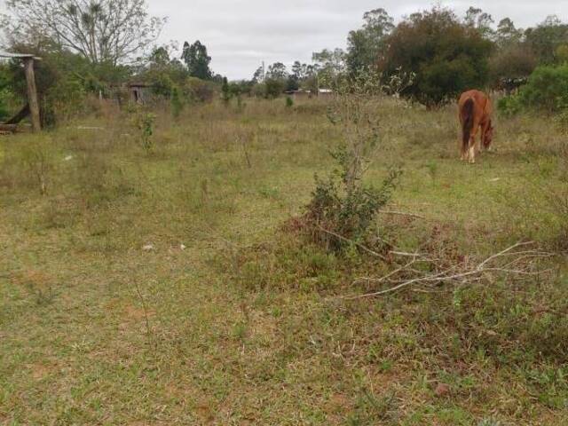 Terreno para Venda em Viamão - 1