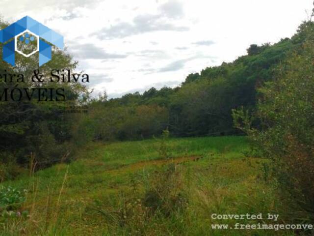 Fazenda para Venda em Viamão - 5
